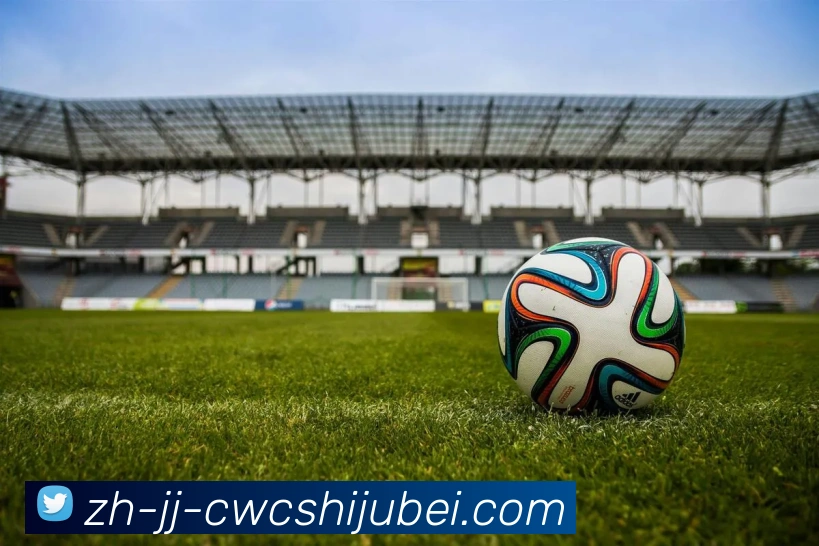 App Interface Preview