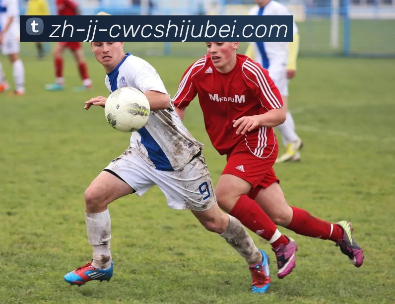 世界杯买球APP 封面图