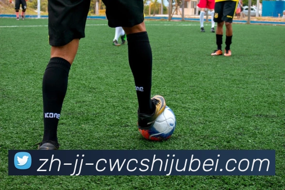 数据防护可视化