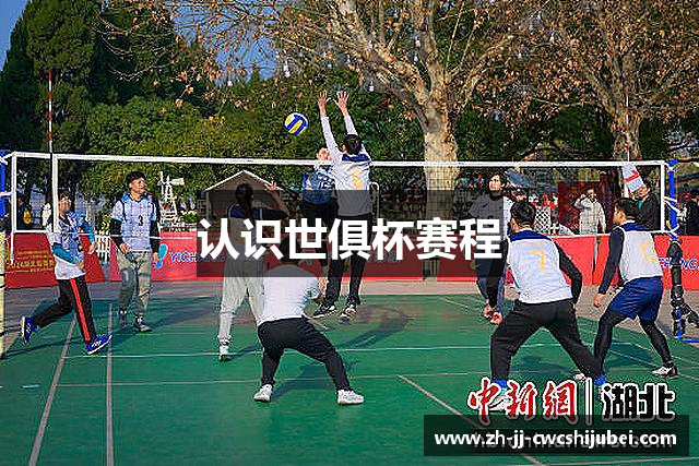 认识世俱杯赛程